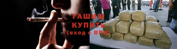 a pvp Бородино