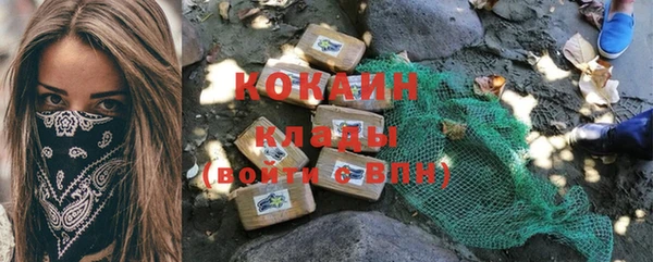 a pvp Бородино