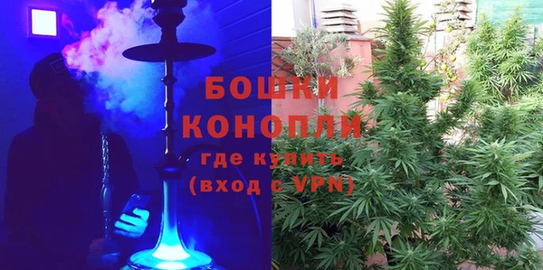 a pvp Бородино