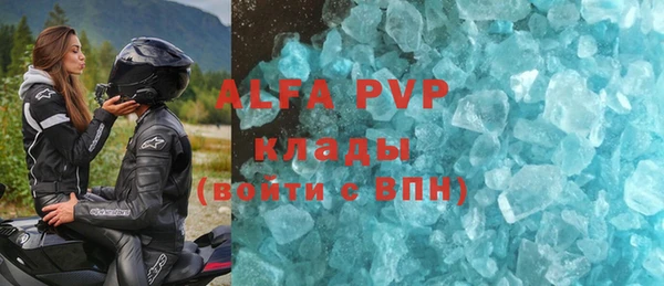 a pvp Бородино