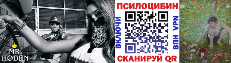 Галлюциногенные грибы Cubensis  Красково 